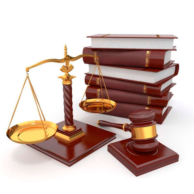 Работаем по 44-ФЗ и 223-ФЗ